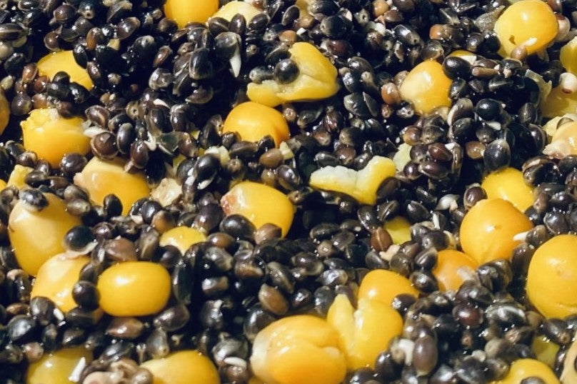 Hemp & Maize