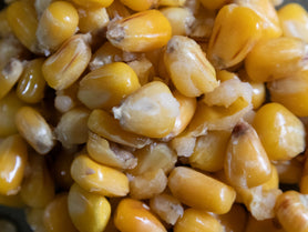 shelf life maize