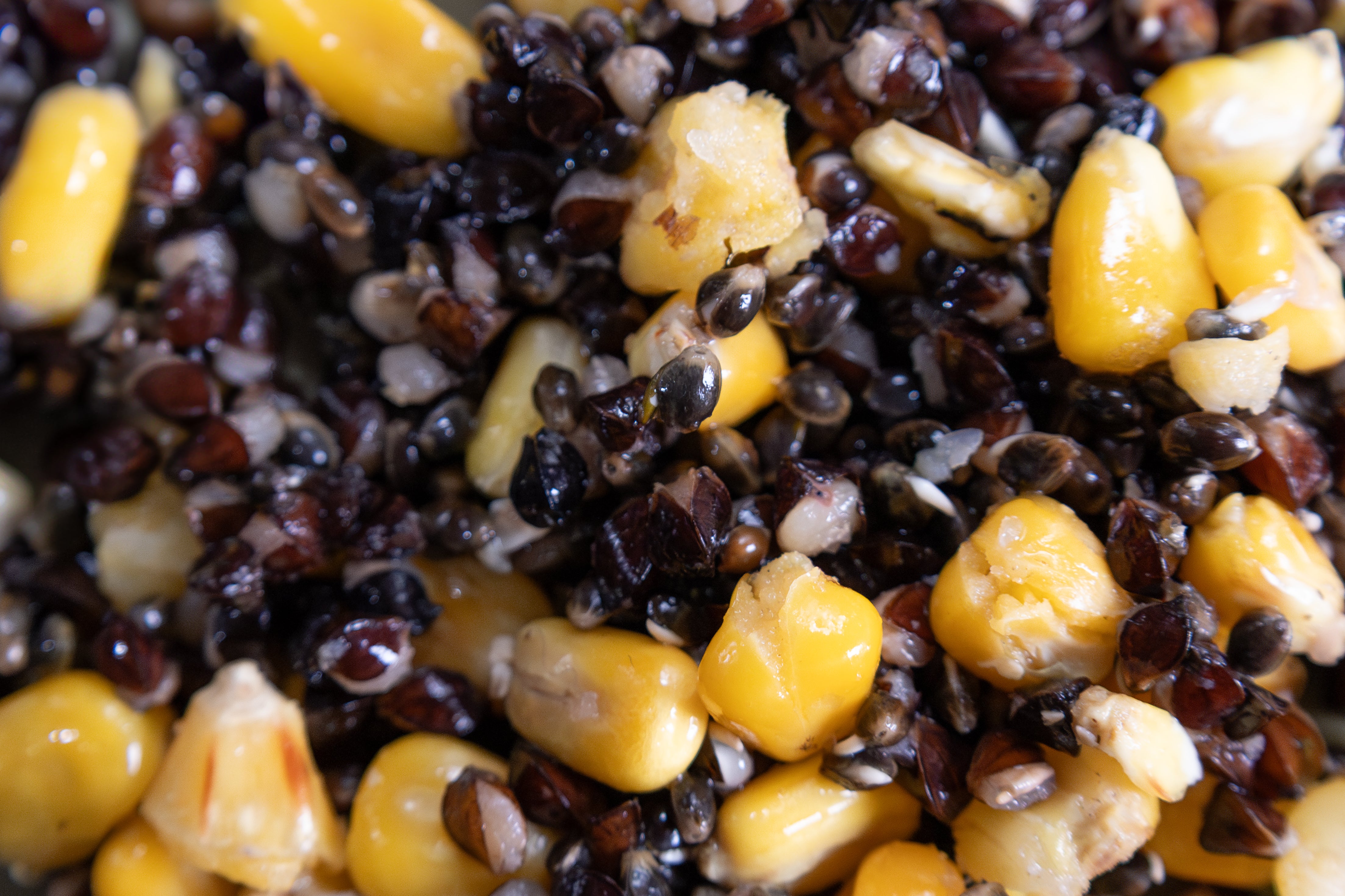 Hemp, Maize & Buckwheat