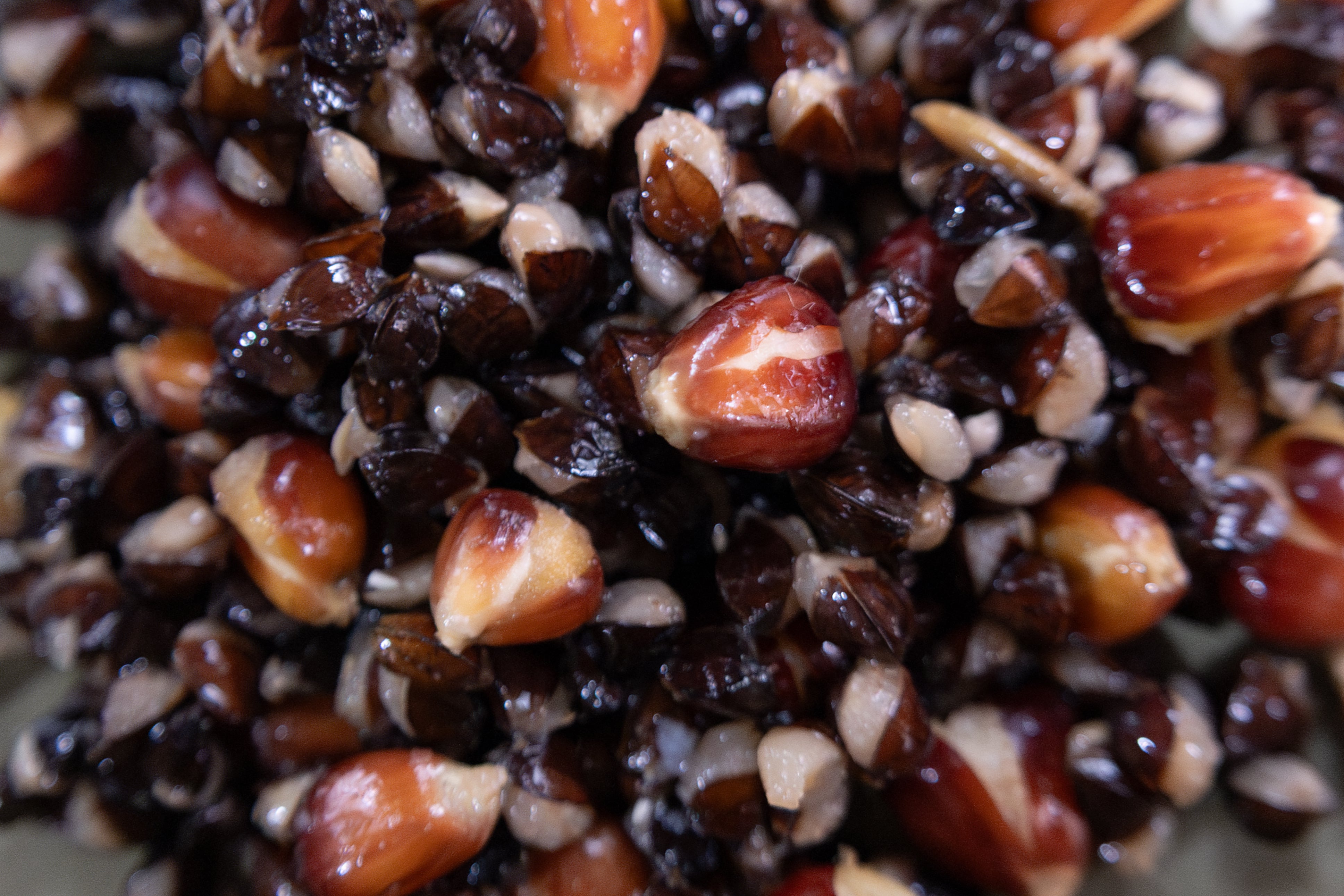 Buckwheat and red maize