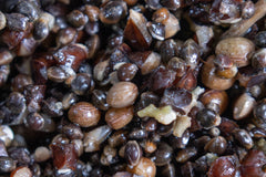 hemp,buckwheat and tares