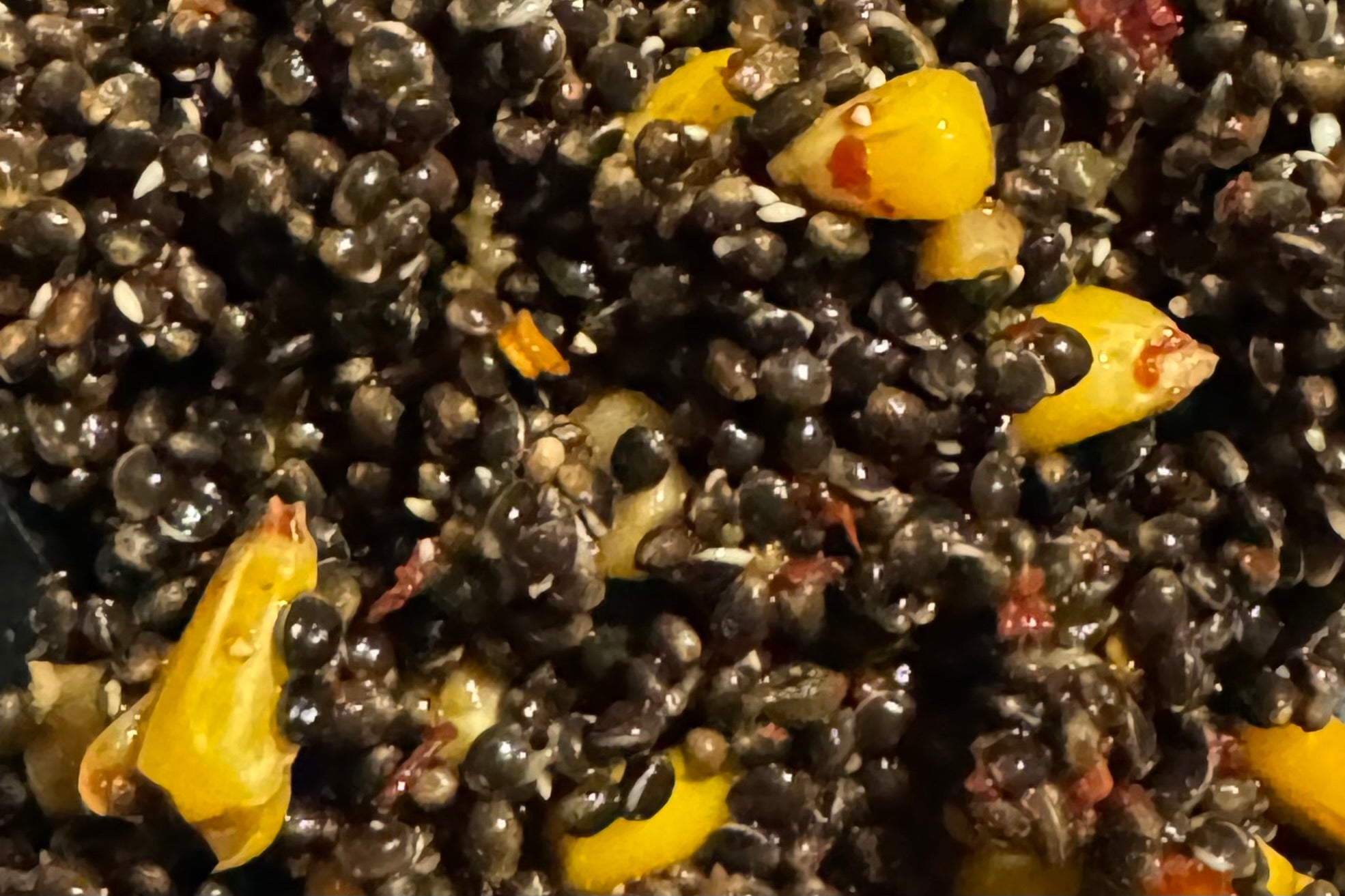 chilli hemp and maize