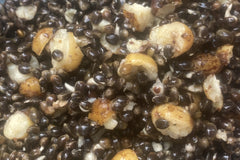 Hemp and chopped tigers nut