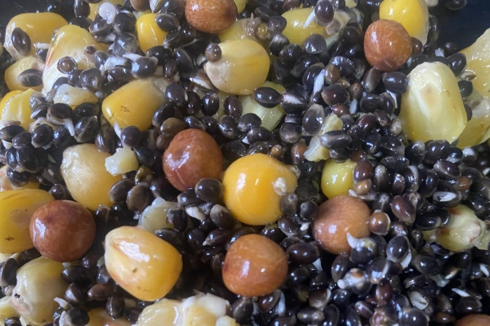 Hemp, Maize & Maples