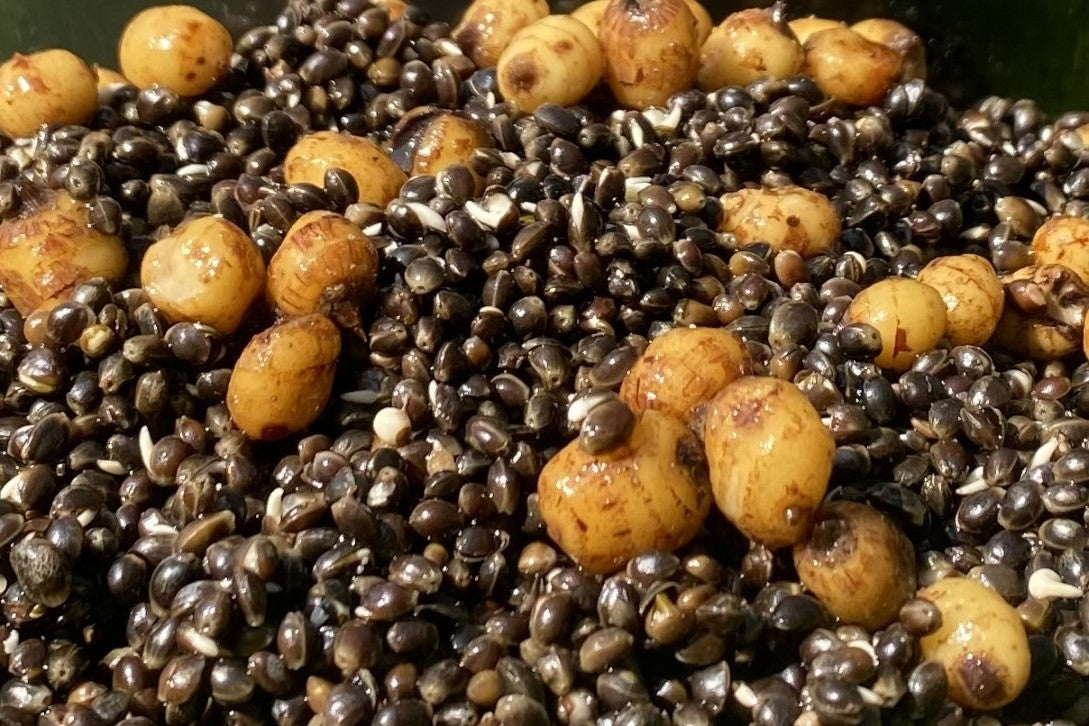 Hemp & Standard Tigernuts